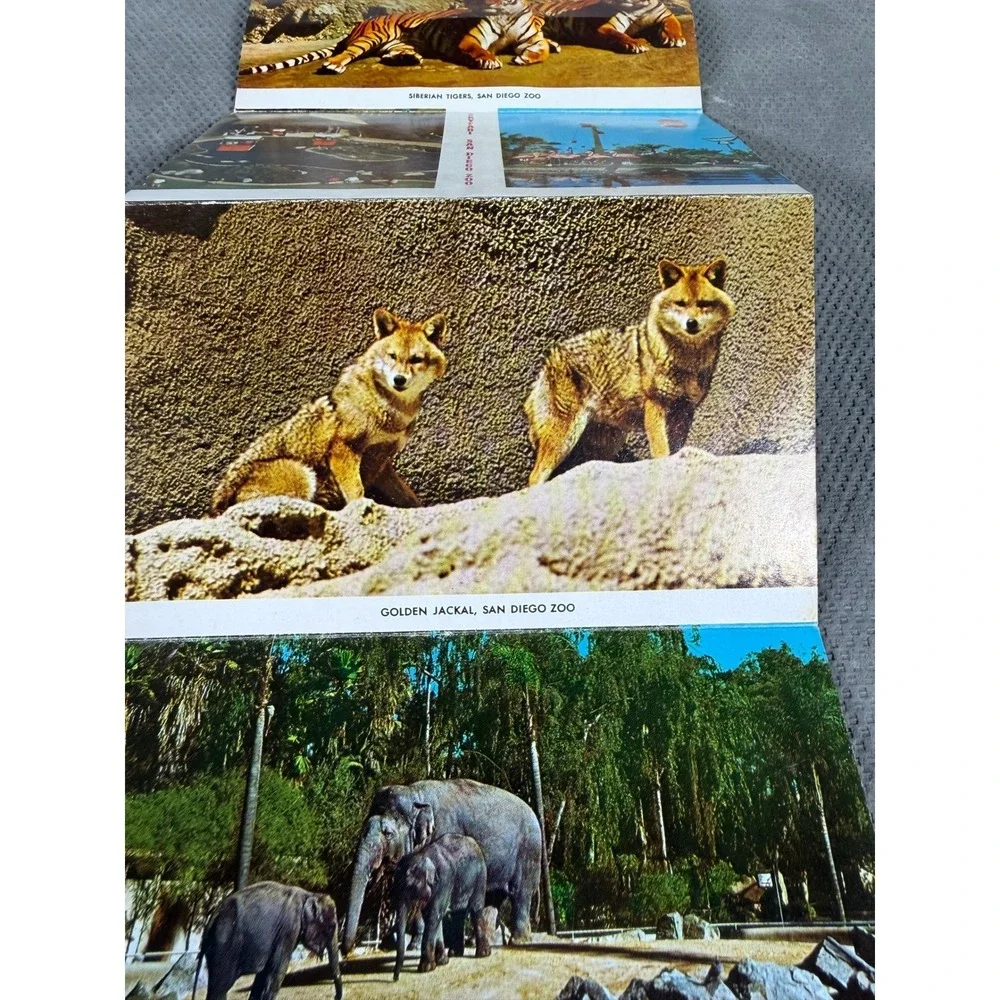 Vintage San Diego Zoo Postcard Folder 12 Views Balboa Park California Curt Teich
